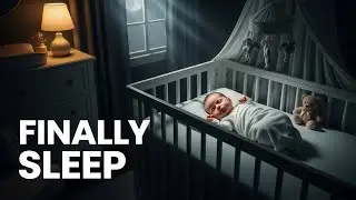 12 HOURS Gentle Shushing + Noise Sounds for Baby Sleep | Zen Cradle Baby