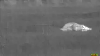flir pts 736