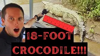 Эта река в Коста-Рике кишит крокодилами 🐊 ... НЕ прыгайте в эту воду!🚢 🛟 📷