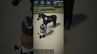 Untrainable to Olympic horse
