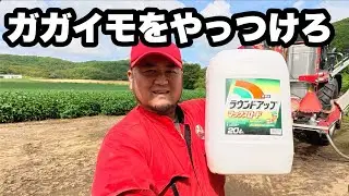 2025年8月3日　再編集板　ガガイモをやっつける