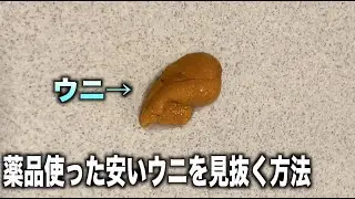 薬品たっぷりの安いウニはこのやり方一発で見抜けます！　#shorts