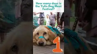 3 things you didn't know about the Yulin Dog Meat Festival #shorts
