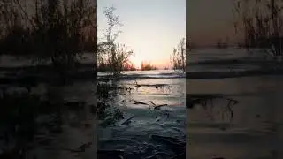 Lake Perris