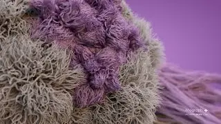 Premium tutorial No 8 : Comprehensive introduction to ARNOLD for Cinema 4d