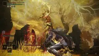Elden Ring Convergence J0 Frenzied Zealot  Erdtree Sentry South Altus