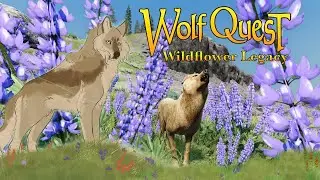 Our Newest Flowery Puppies🦬🌼 Wolf Quest: Wildflower Legacy #1 (Buffalo Plateau)