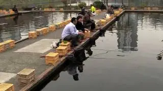 Carp Fishing at Ichigaya Station Tokyo Japan 2056