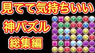 【パズドラ】見てて気持ちいい神パズル【ダックス】