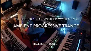 DSI Prophet 08 + Grandmother + Roland SE-02 = Ambient Progressive Trance #moog#roland#davesmith