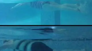 A before/after Total Immersion coaching