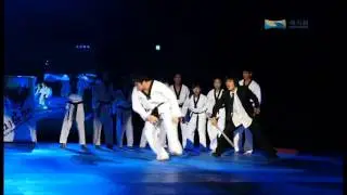 World Taekwondo Hanmadang 2014 (Video 3)