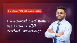 Pro කෙනෙක් වගේ Bullish Bat Patterns ට්&zwj;රේඩ් කරන්නේ කොහොමද?