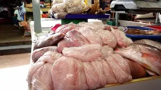 Aumenta precio por libra de pargo rojo
