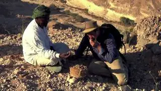 Frankincense: Trees | Young Living Essential Oils
