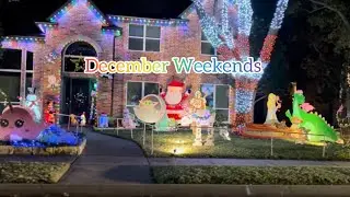 Immigrants life in U.S.: December weekend, having Mediterranean buffet, neighborhood illumination 