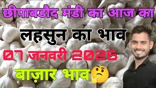 7 January 2026,Chhipabarod Lahsun Mandi Ka Bhav | Today Garlic Rate | Aaj Ka Lahsun Ka Bhav