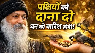 🔥OSHO – पक्षियों को यह दो, धन इतना आएगा कि संभाल नहीं पाओगे | रहस्यमयी सत्य | Osho Hindi Speech