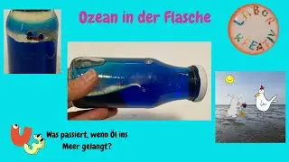 Ozean in der Flasche basteln auch f&uuml;r U3 o. Was passiert, wenn &Ouml;l ins Meer gelangt?