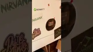 So zuverl&auml;ssig l&auml;uft mein autarkes System! ⚡🌱
