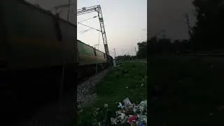 Gomoh wag9 #32136