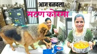 सबस्क्राईबर येतात पण मला वेळ देता येत नाही 😔🙏🏻🙏🏻