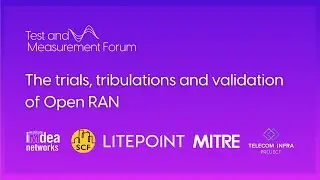 The trials, tribulations and validation of Open RAN