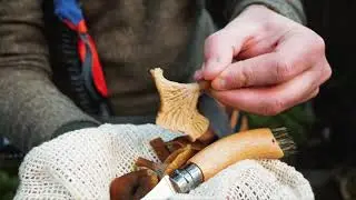 A day in the woods - Vancouver Island - Mushrooms, foraging, cooking, drone footage, wood carving