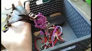 akcesoria dla hobby horse