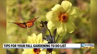 Tips for your fall gardening to do list