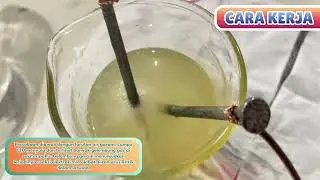 PERCOBAAN MEMBUAT ALAT UJI ELEKTROLIT SEDERHANA KELOMPOK 2 X.A 