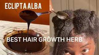 ECLIPTA ALBA MOST POWERFUL HAIR GROWTH HERB-KING OF HAIR #hairgrowth #vlog #tips