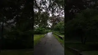 Парк. Дождь