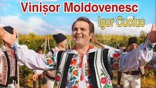 Igor Cuciuc  - Vinișor Moldovenesc /  Rapsozii Moldovei ☎️ ( Event +373 692 42 178 )
