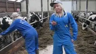 COW COMPANY