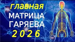 Главная матрица Гаряева 2026