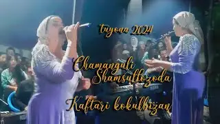 Чамангули Шамсуллозода - кафтаре кокул бизан вой вой 2024 #QURBONSHOW#