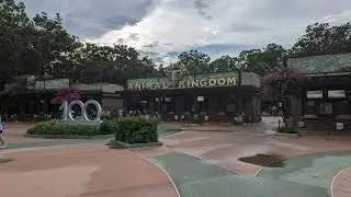 Disney World Annual Passholder Magnets Available at Animal Kingdom through July 30, 2023!