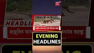 Evening Headlines : বিশ্বনাথৰ জাপৰিগুৰিত অব্যাহত উচ্ছেদ অভিযান | Biswanath Eviction |