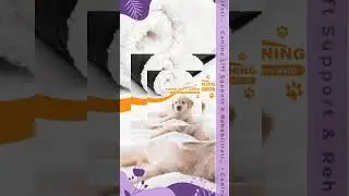 Canine Lift Support & Rehabilitation Sling