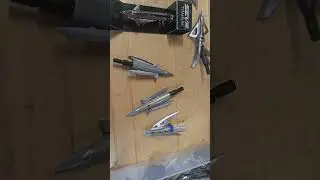 SEVR  BROADHEADS ARE NOT MY TO OF CHOICE FOR SOUTHERN SLICK HEADS