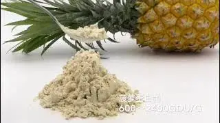 Bromelain Enzyme Powder