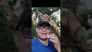 Viky Davila cayo al abismo de las encuestas
