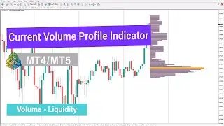 📊Current Volume Profile Indicator MT4/5 Download &ndash; Free &ndash; [TradingFinder]