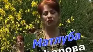 Матлуба Сафарова 201335