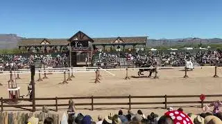 Jousting fail 🤣