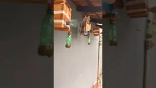 Cuidado forideos !! - Como combater, muito f&aacute;cil