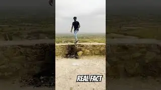 REAL FACT ON LIFE #realfacts #system #life #rules #shorts #youtubeshort  @TheSocialFactory