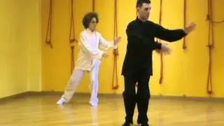Tai Chi Original 8 Form - Yang Style - Dinamic meditation