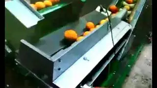 orange packing machine,Automatic feed sorting system
